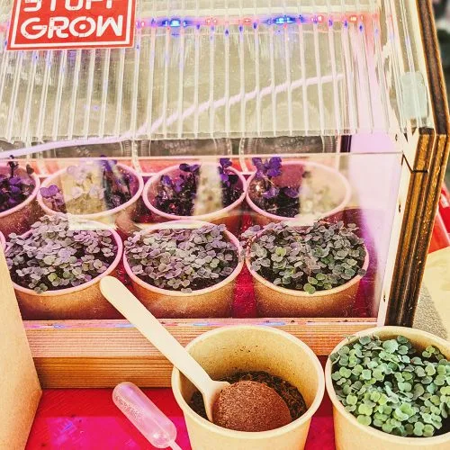 Make Stuff Grow | Micro-Greenhouse