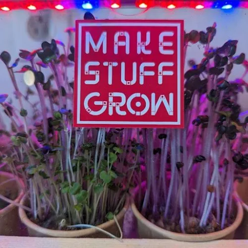 Make Stuff Grow | Seeds and Soil Pack